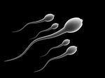 Is your sperm being zapped by chemicals in the environment? 
